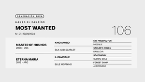  MOST WANTED