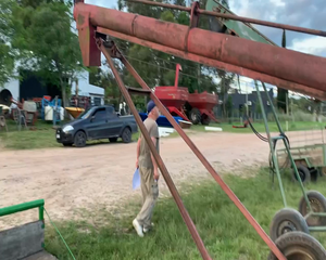 Lote TORNILLO  