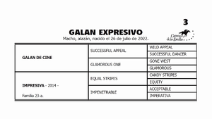  GALAN EXPRESIVO (GALAN DE CINE - IMPRESIVA por EQUAL STRIPES)     