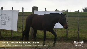 Rocío del Burucuya 340 — Escritorio Alori y Cia.