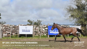 Distraida La Serranera — Escritorio Alori y Cia.