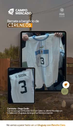 Lote Camiseta Diego Godín