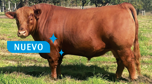 GABINO