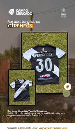 Lote "Camiseta Sebastián ""Papelito"" Fernández"