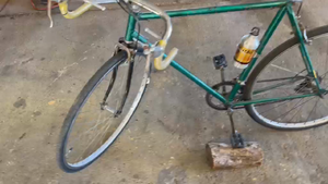 Lote BICICLETA VERDE