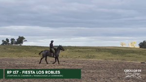  FIESTA LOS ROBLES