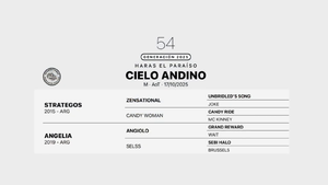  CIELO ANDINO