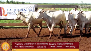  LOTE  179