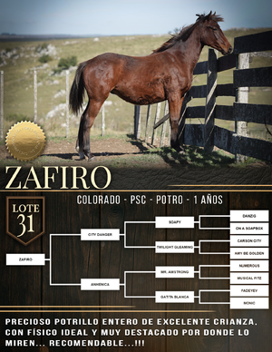  ZAFIRO