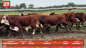  LOTE 27