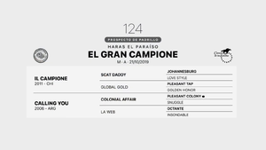  EL GRAN CAMPIONE