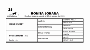  BONITA JOHANA (JOHN F KENNEDY -  BONITA STRIPES por  EQUAL STRIPES)