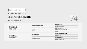  ALPES SUIZOS