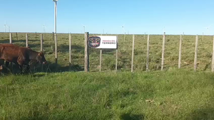  Lote 3-A