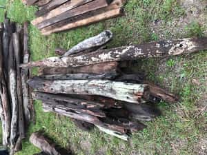Lote MUERTOS DE MADERA DURA