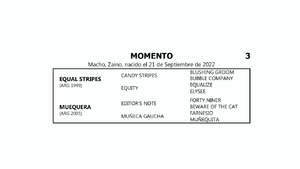 MOMENTO (EQUAL STRIPES - MUEQUERA por  EDITOR'S NOTE) 
