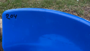 Lote Silla escritorio azul (1)