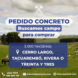  PEDIDO CONCRETO