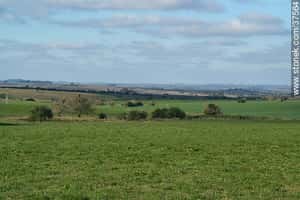 Venta Campo, 221 Has