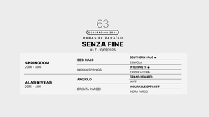  SENZA FINE
