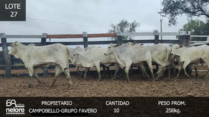  LOTE 27