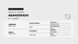  ABANDERADO