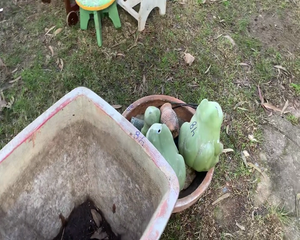 Lote 2 MACETEROS Y ADORNOS  RANAS