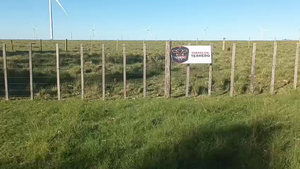  Lote 8