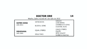  DOCTOR DRE (SIXTIES SONG -  DIDJERAMA por EQUAL STRIPES)