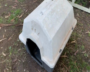 Lote CASILLA DE PERRO PVC