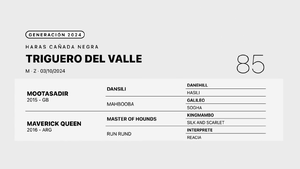  TRIGUERO DEL VALLE
