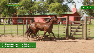  2 Yeguas