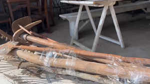 Lote asadas, picos y otros