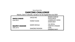 DANCING CHALLENGE
