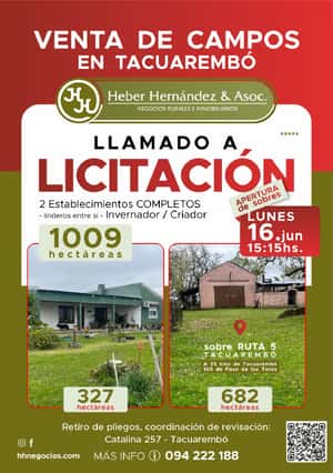 Llamado a licitación