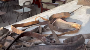 Lote frenos, bozales y cinchas 