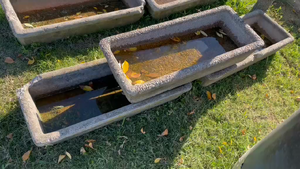 Lote 3 PILETAS DE HORMIGÓN