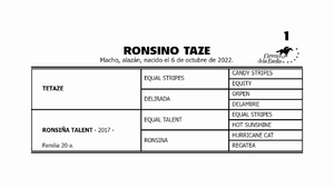  RONSINO TAZE (TETAZE -  RONSIÑA TALENT por EQUAL TALENT)
