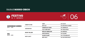  FESTIVO