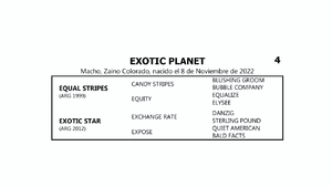  EXOTIC PLANET (EQUAL STRIPES - EXOTIC STAR por EXCHANGE RATE)