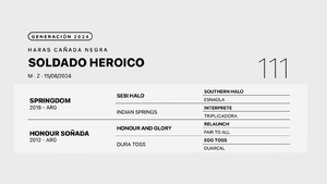  SOLDADO HEROICO