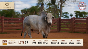 Lote 7 — Sola Marca SA