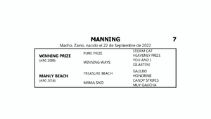  MANNING (WINNING PRIZE -  MANLY BEACH por TREASURE BEACH)