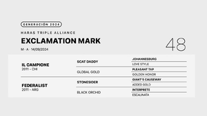  EXCLAMATION MARK
