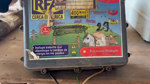 Lote 2 electrificadores 
