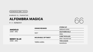  ALFOMBRA MAGICA
