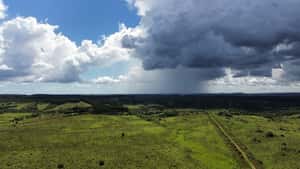  145 has a 20 km de Rocha  - buen campo ganadero- parte forestal 