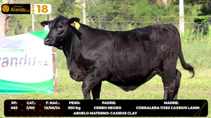  LOTE 18