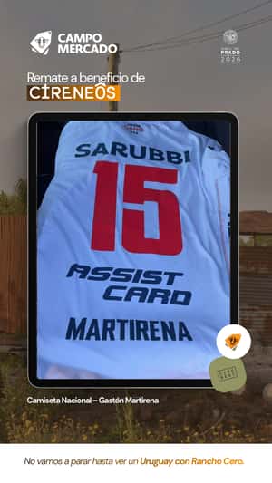 Lote Camiseta Nacional - Gastón Martirena