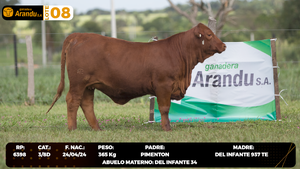  LOTE 8